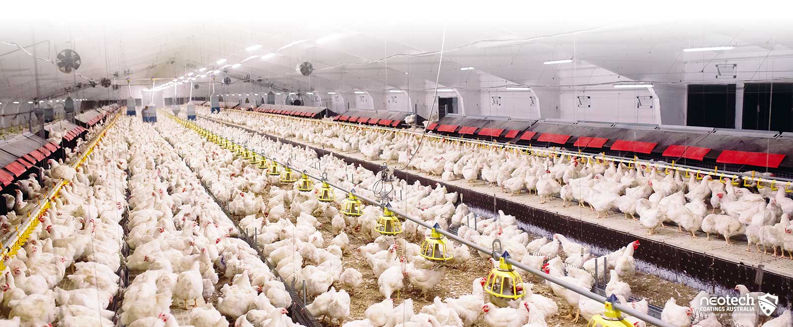 Poultry and Agriculture Heat Block Coatings NEOtech Coatings